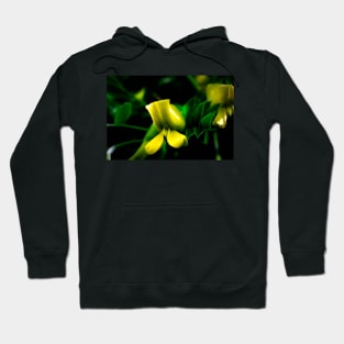 Glowing buds. Hoodie